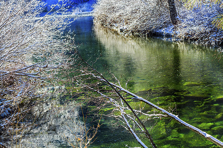 山口叶摄影照片_冬季 树叶 Snow 冰 Wenatchee River Valley Washington