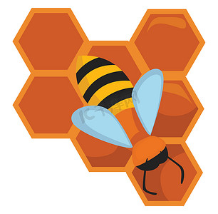 蜂蜜标签设计摄影照片_蜂巢，插图，白色背景上的矢量