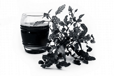 Tulsi 或圣罗勒的有机新鲜提取汁与生罗勒叶一起在白色上分离。