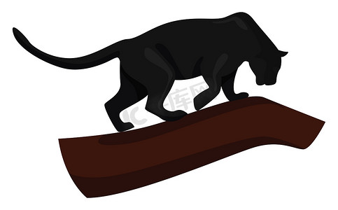 黑豹，插图，白色背景上的矢量