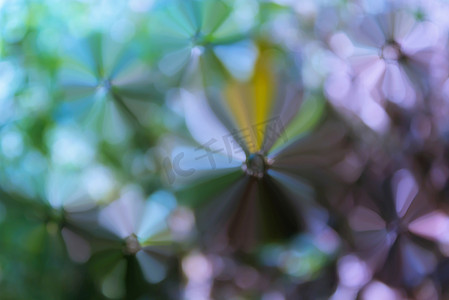 淡色国风水墨背景摄影照片_五颜六色的抽象花形状绿色蓝色紫色淡色软的a