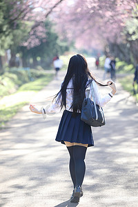 日本女学生裙子走着樱花花自然沃尔玛