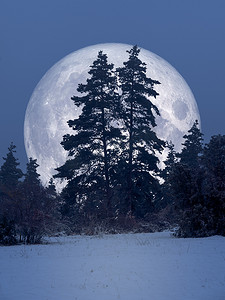森林夜摄影照片_有满月的冬天风景夜
