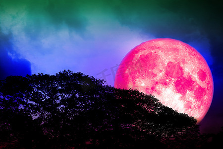 黑色背景背影摄影照片_满粉红色的月亮背影树木和五颜六色的天空