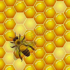 蜂蜜标签设计摄影照片_矢量蜜蜂和蜂窝纹理背景。