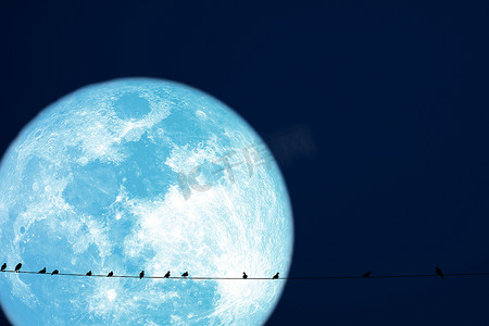 降压月球行星背部剪影电力线上的鸟