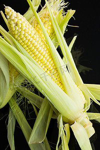 纯黑色背景摄影照片_黑色背景中玉米棒上的新鲜玉米