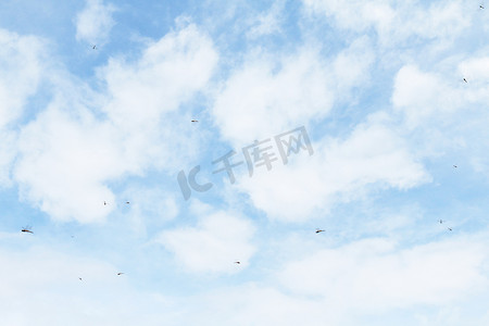 飞翔蜻蜓摄影照片_蜻蜓在美丽晴朗的天空背景下飞翔
