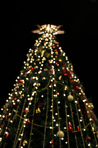 模糊的圣诞树装饰背景，带夜灯、圣诞假期庆典、圣诞树、新的欧洲冬天