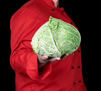 有机圆白菜摄影照片_一件红色制服的厨师拿着一整棵圆白菜