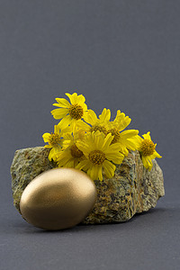 天然岩石和黄色花朵前的金巢蛋