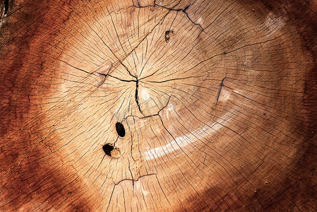 树年轮纹理摄影照片_木质横截面和纹理背景，木材年轮表面。