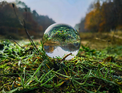 仿真水晶球摄影照片_在被晨露弄湿的绿草上的玻璃水晶球
