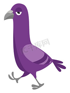 矢量白色鸟摄影照片_紫鸽，插图，白色背景上的矢量