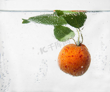 泡在水中的杏