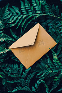 自然界中的空白信封和绿叶、纸卡作为背景、信件和时事通讯