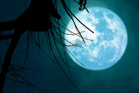 全蓝海狸月亮背在乌云上，在剪影干树上