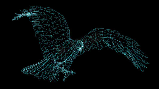 鹰的独立低聚图形设计