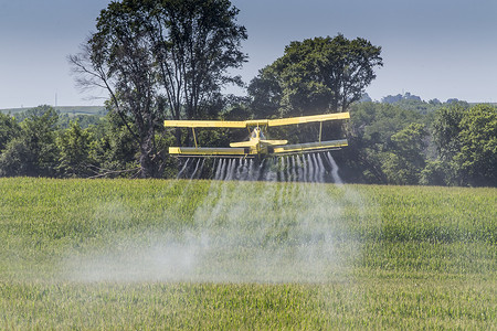 除尘器摄影照片_黄色农作物喷粉器在农作物上喷洒农药