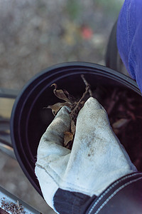 石棉摄影照片_带手套的特写手将干叶和污垢从排水沟清洁中放入桶中