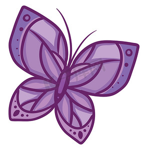 蝴蝶矢量摄影照片_紫色蝴蝶，插图，白色背景上的矢量