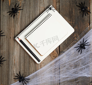 打开有空白的白页、蜘蛛网和黑蜘蛛的笔记本