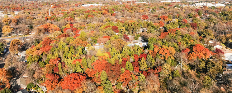 缤纷树叶摄影照片_达拉斯郊区的全景顶景房屋靠近公园森林，秋色缤纷