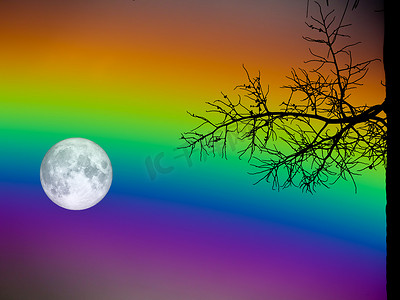 满月和彩虹天空侧影干棕榈树
