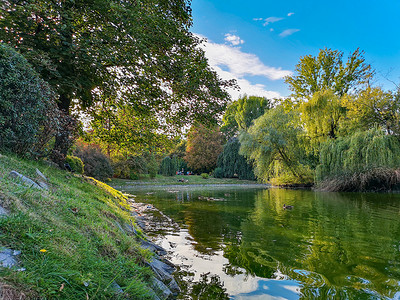 弗罗茨瓦夫托尔帕公园有鸭子游泳的湖