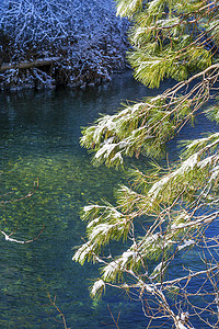 冬季 Leaves Snow 冰 Wenatchee River Valley Leavenworth Washi