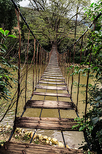 老吊桥河热带森林