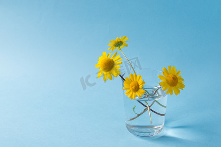 浅蓝色背景上带有黄色花朵的玻璃杯。