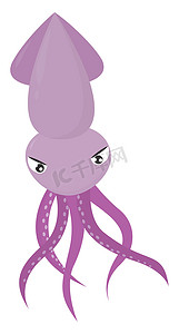 紫鱿鱼，插图，白色背景上的矢量
