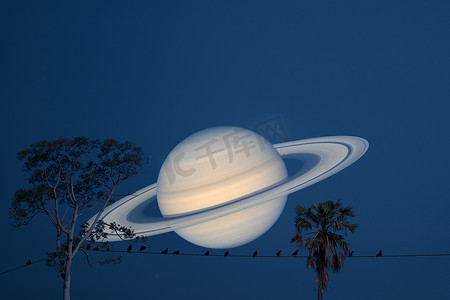 行星剪影摄影照片_土星行星背面剪影鸟在电力电线和 b