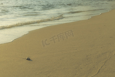 夏天大海沙滩背景摄影照片_来自大海的软波来到湿沙滩背景。