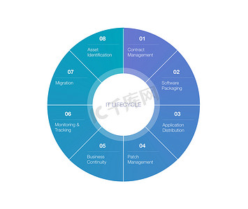 IT 生命周期图信息图