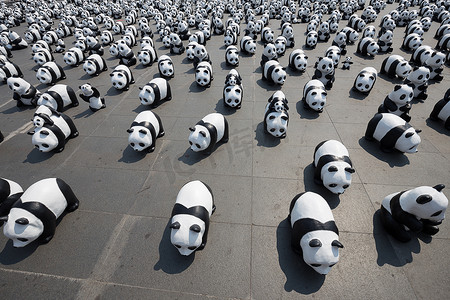 1600只大熊猫在泰国