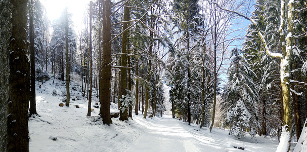 冬季山林公路全景