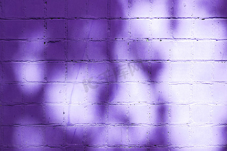 淡紫色被绘的瓦片墙壁纹理在有树阴影的太阳光芒中。 