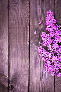 棕色木质表面上的紫色丁香树枝