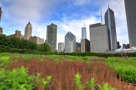 千禧年摄影照片_从 Lurie Garden 看伊利诺伊州芝加哥的天际线