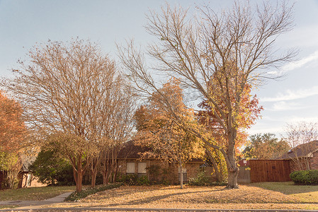 单层透气摄影照片_达拉斯郊区的单层平房，秋叶色彩鲜艳