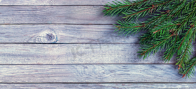 装饰小简单的摄影照片_灰色木质背景上没有装饰的绿色圣诞树枝