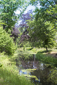 荷兰的自然与绿色和水