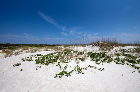 坎伯兰岛国家公园的沙丘。