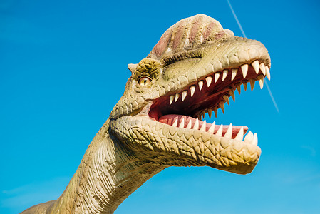 双龙戏珠摄影照片_诺维萨德恐龙公园的双脊龙