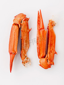 餐饮横幅摄影照片_螃蟹和海的白色背景中分离的煮蟹爪