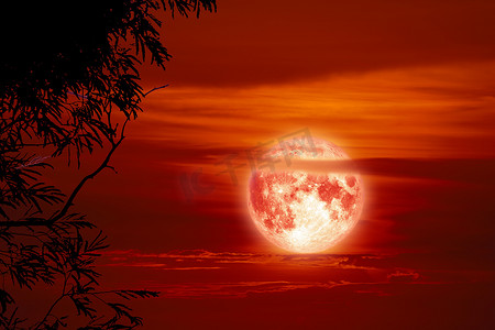 血月剪影树背红云日落天空