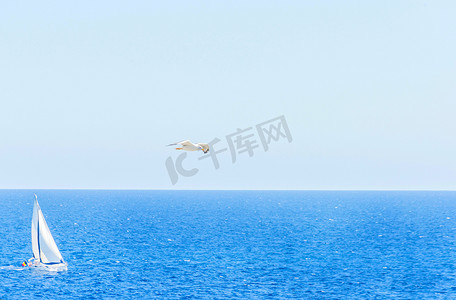 蓝天飞翔的海鸥，背景帆船s