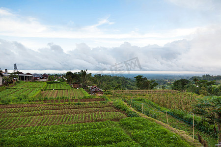 金塔马尼巴图尔火山附近农田的全景。